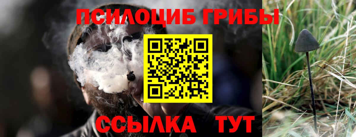 Галлюциногенные грибы мухоморы  Вход с VPN  Екатеринбург  Псилоцибиновые грибы Psilocybine cubensis 